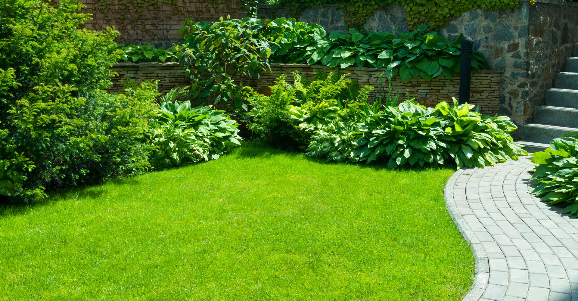 Jardin verdoyant et bien entretenu avec pelouse, allée pavée courbée, massifs de hostas, fougères et arbustes. Murs en pierre et escalier.