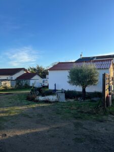 Maison blanche avec toit rouge, olivier au premier plan et ciel bleu dégagé par un matin ensoleillé.