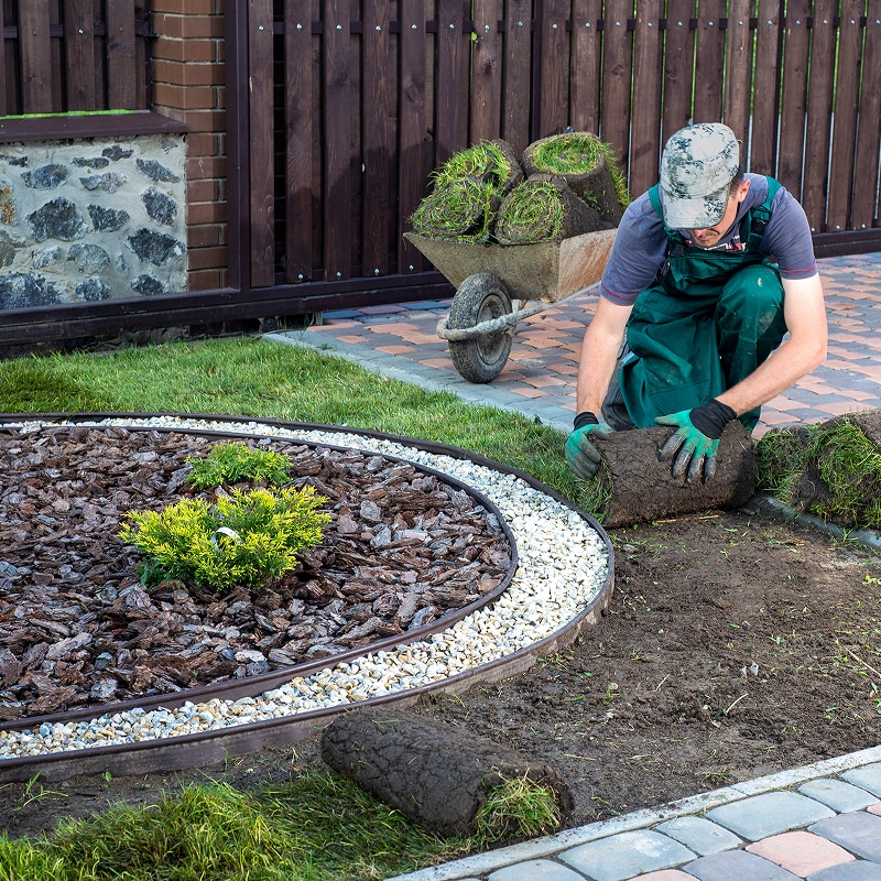Jardinier en tenue verte posant du gazon en rouleau sur un sol préparé. Une brouette pleine de pelouse se trouve derrière lui, et un parterre aménagé avec écorces et galets est visible.