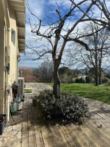 Terrasse en bois devant une maison avec un arbre dénudé et un climatiseur, vue sur un paysage vallonné bleu sous un ciel nuageux.