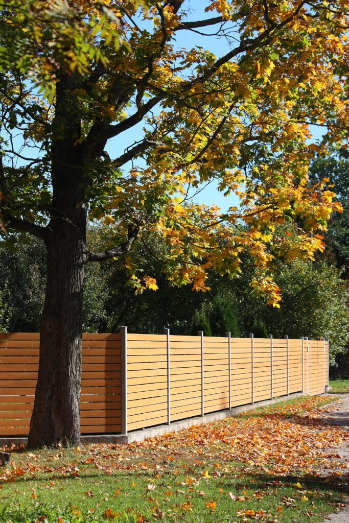 Arbre aux feuilles jaunes d'automne près d'une clôture moderne en bois clair, avec des feuilles mortes sur l'herbe verte.